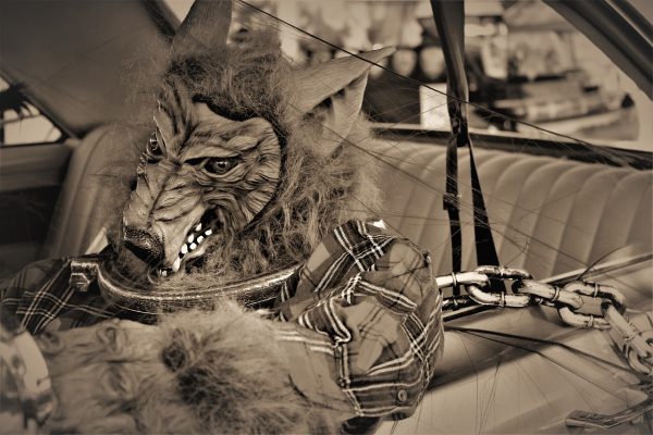 Weerwolf Leiderschap