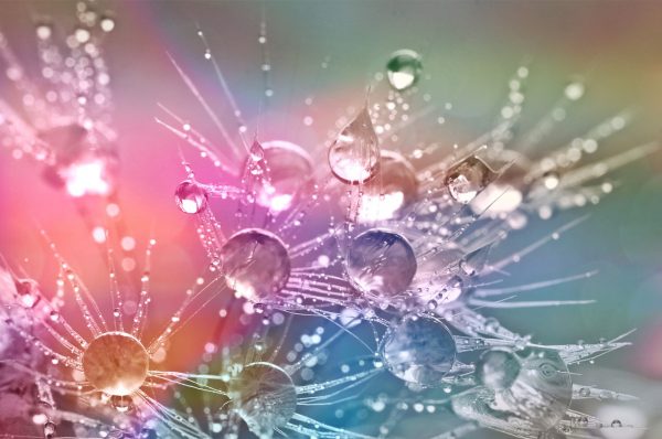 Vloeibaar Organiseren Barbapapa