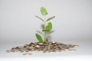 Geld Leiderschap Coach Investeren
