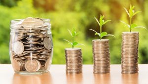 Profits Talent Organizations